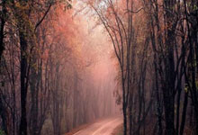 196体育：​【原创】足彩推荐专家预测：周六025荷甲-阿贾克斯VS瓦尔韦克.