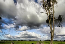 196体育：媒体人谈唐天翼：解约广州豹就亏了，家长的危机公关做的没脑子.