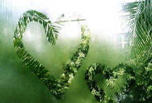 196体育：[WCBA]许晨妍当选WCBA全明星赛最有价值球员.