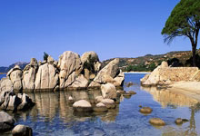 196体育：歐聯杯16強附加賽次回合曼聯2-1巴塞羅那 萊萬點射&quot巴西幫&quot反超！曼聯逆轉淘汰巴薩！.